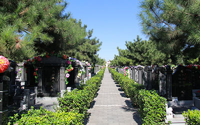 墓地怎么选？这些要点须知
