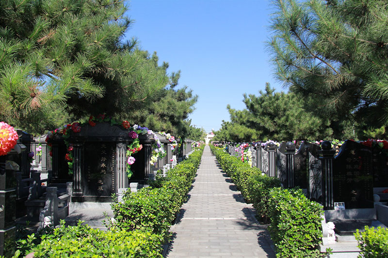 墓地怎么选？这些要点须知