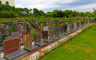 购买墓地全攻略：细节注意事项与避坑指南