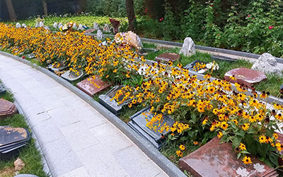 在昆明，哪种类型的墓地花钱比较少？