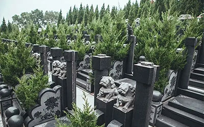 一分钟快速学会如何选墓