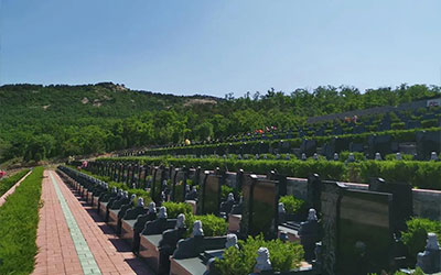 买墓地要注意什么