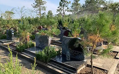 买墓地必看！29条技巧&禁忌