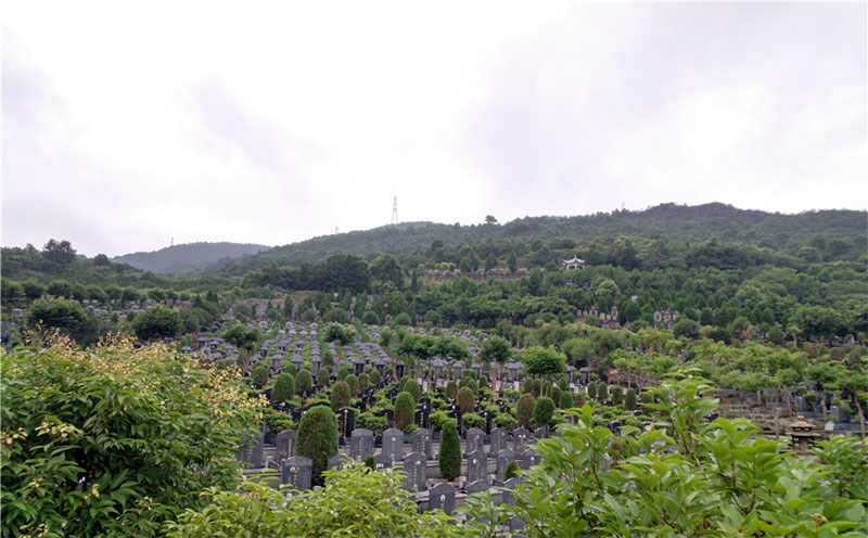 公墓挑选避坑指南,这四点必须关注 公墓挑选避坑指南,这四点必须关注