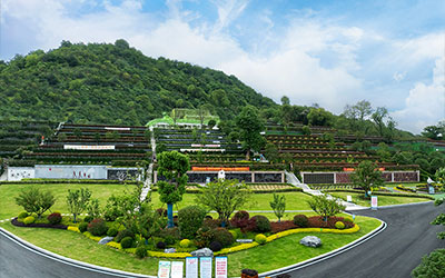 选购墓地必知的五大要点，避免踩坑！