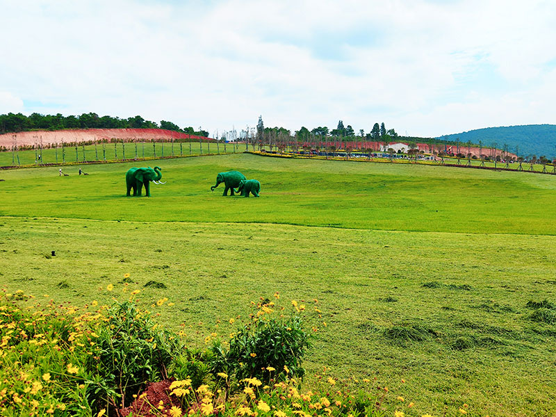 公墓风水：如何选择理想的墓地