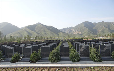 公墓选墓位的关键禁忌及风水考量