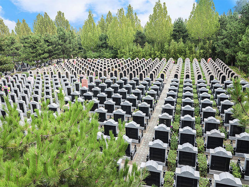 老人去世到底要不要买公墓，这些事情搞明白，就知道该如何选择了