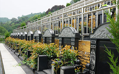 公墓选址与风水布局的详细指南