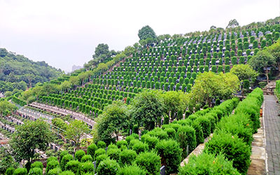 探索墓地风水：大富大贵之地的奥秘
