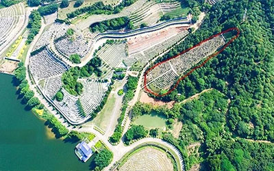 公墓风水指南：让后代安息的智慧