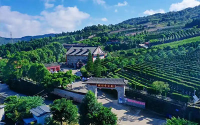 公墓风水：选择墓地也需讲究