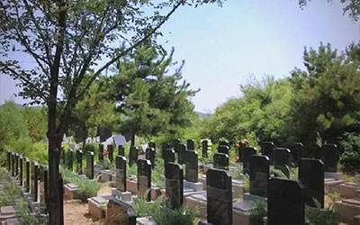 公墓选择指南：你知道多少？