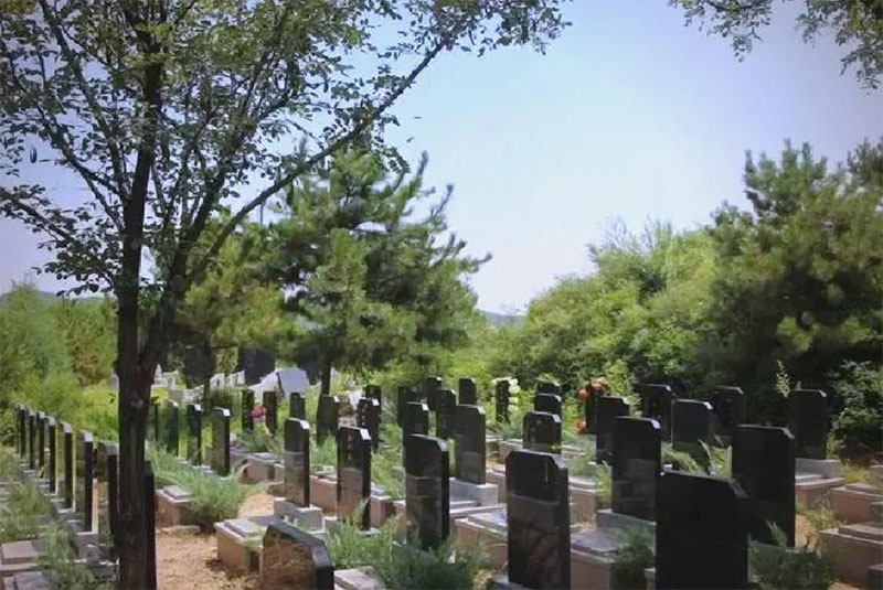 公墓选择指南:你知道多少 公墓选择指南:你知道多少