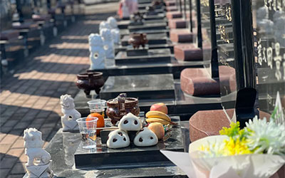 选墓地有哪些讲究？看懂这7条墓园的门道，选到好墓真的不难！