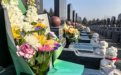 墓地怎么选？有哪些要素？