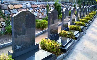 选坟地最简单的方法：回归自然与人文的平衡之道