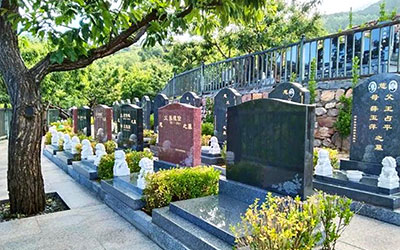 如何智慧地选择墓地：避开八大陷阱的实用指南