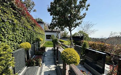 墓地选购避坑指南：一不小心就花冤枉钱