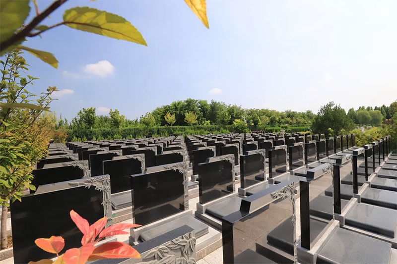 墓地选购指南：购买条件与选购建议