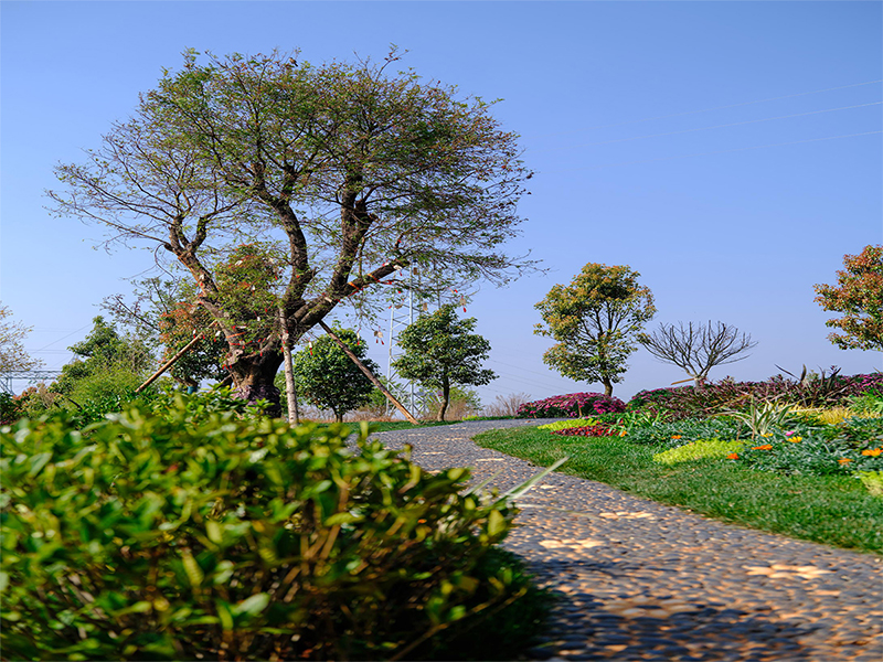 玉溪抚仙湖人文纪念园2025年墓地价格解析 玉溪抚仙湖人文纪念园2025年墓地价格解析