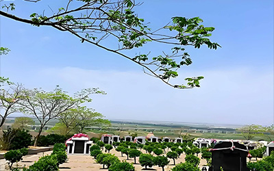 学会这四原则五看，选墓地不再是难事