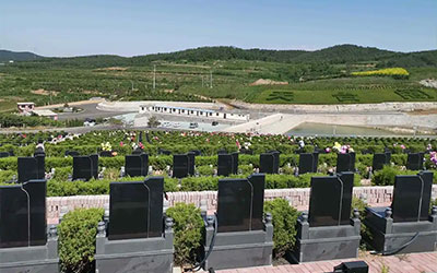 为什么选择公墓网站购买公墓-专业服务与优质资源