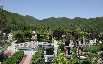 如果墓地风水不好，可以靠种树来改善吗？