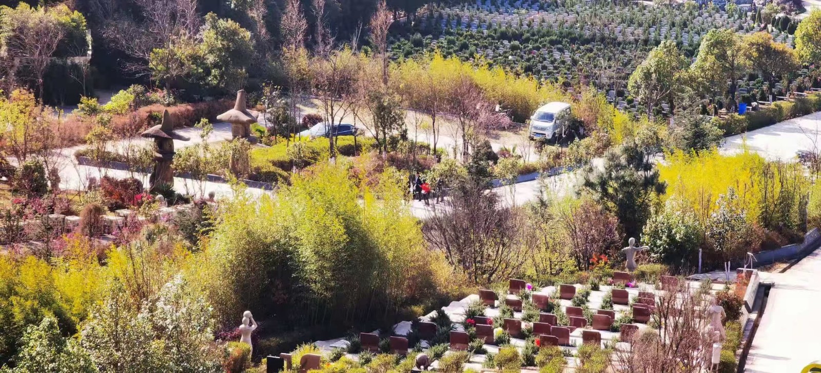 提前购买墓地的好处