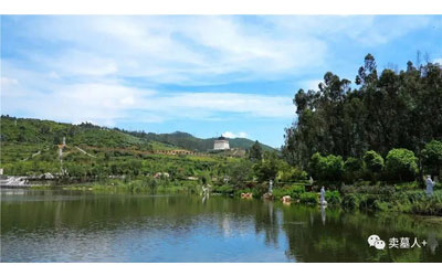 就算你抱怨，公墓的价格还是会越来越贵！