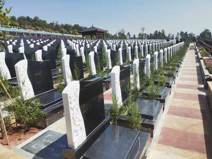 微信图片_20210425215826.jpg 微信图片_20210425215826.jpg