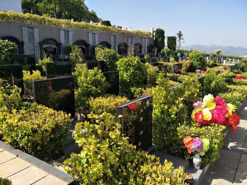 公墓信息网揭秘墓地忌讳选择哪个朝向