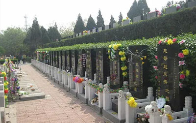 一篇文章让你了解墓地价格构成