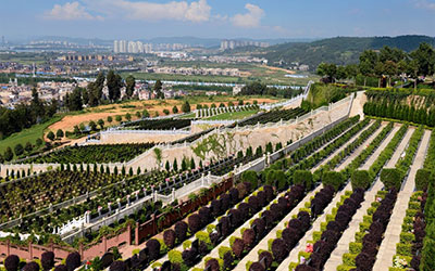 昆明买墓地都要花哪些钱？公墓信息网购墓指导