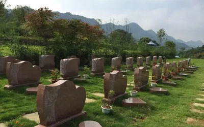 教你看懂墓型墓相