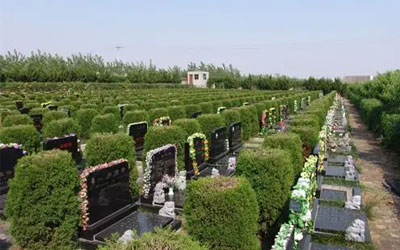 葬礼完成之后仍然需要关心墓地问题