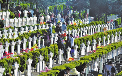 去墓地祭祀亲人带的水果有什么讲究吗？