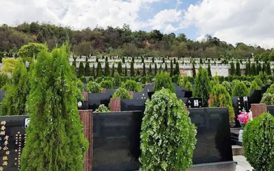 公墓在刻碑的时候有哪些需要注意的方面