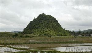 微信图片_20210826211731.jpg 微信图片_20210826211731.jpg