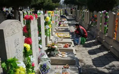 上坟祭祀这些人不能去