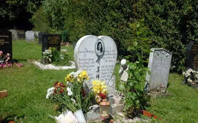 坟地上长草好不好？长的草应该怎么处理？