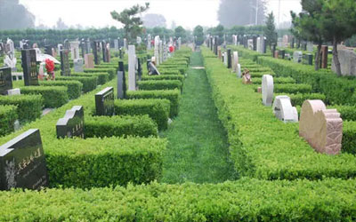 墓地里面墓穴尽量避开这些地方