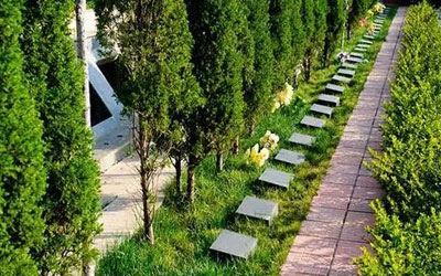 树葬有哪些优点，昆明墓地树葬的选择