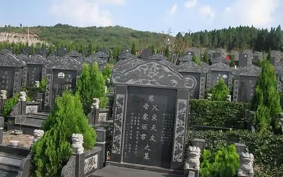 墓地旁栽什么树比较好？有哪些讲究