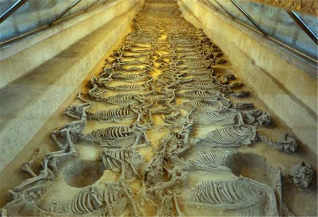 中国古人的墓都,分为“坟、墓、冢、陵” 中国古人的墓都,分为“坟、墓、冢、陵”