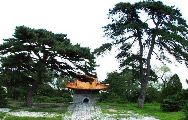 陵墓前的种树讲究 陵墓前的种树讲究