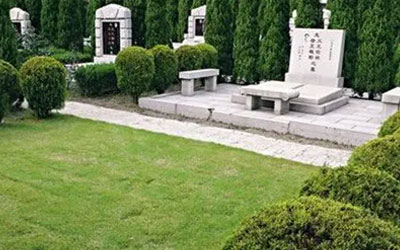 植物对墓地风水有何影响？