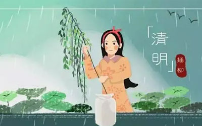 清明节为什么要插柳呢？