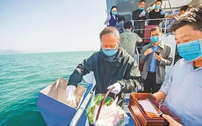 人死火化后骨灰撒入大海或撒到山林中好不好？对后代有没有影响？