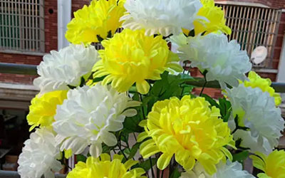 去墓地带什么花好？